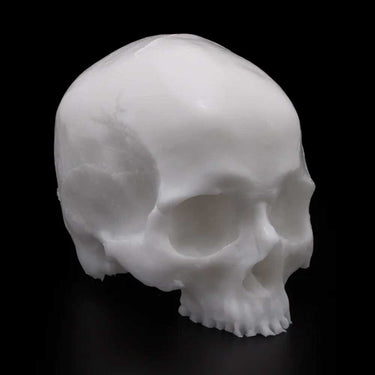 A Pound of Flesh Yorick Skull Practice Skin - Bloody Wolf Tattoo Supply