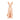 A Pound of Flesh Naked Cat Practice Skin