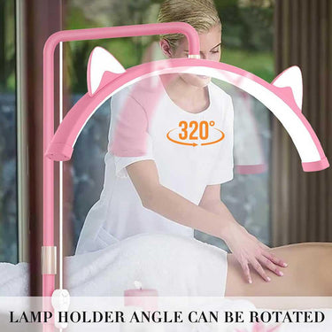 LED Half Moon Pink Floor Lamp With Cat Ears