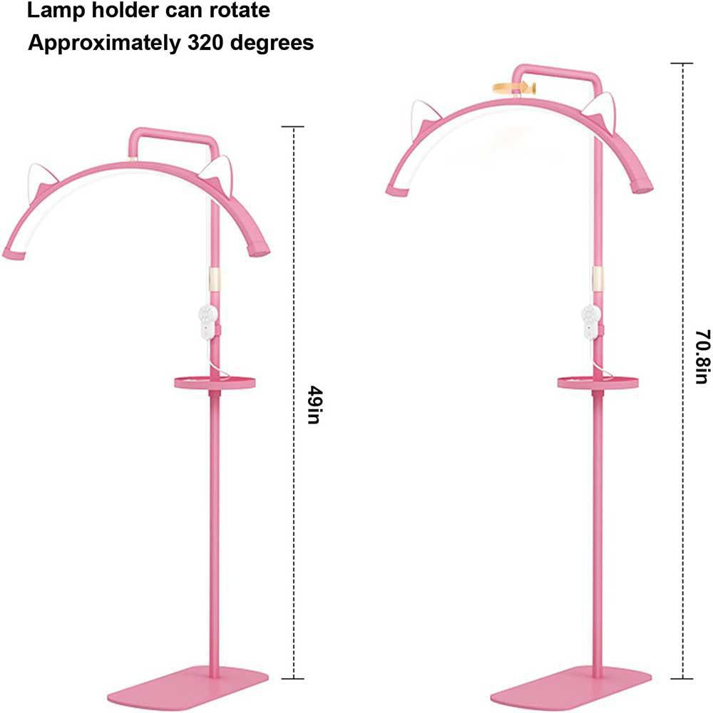 LED Half Moon Pink Floor Lamp With Cat Ears