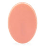 A Pound of Flesh Small Oval Practice Skin - Bloody Wolf Tattoo Supply