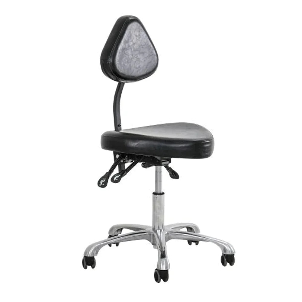 All Purpose Ergonomic Back Support Chair- InkBed
