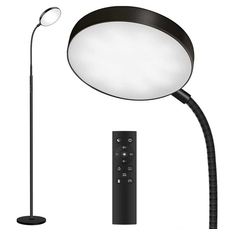 LED Floor Lamp with Remote